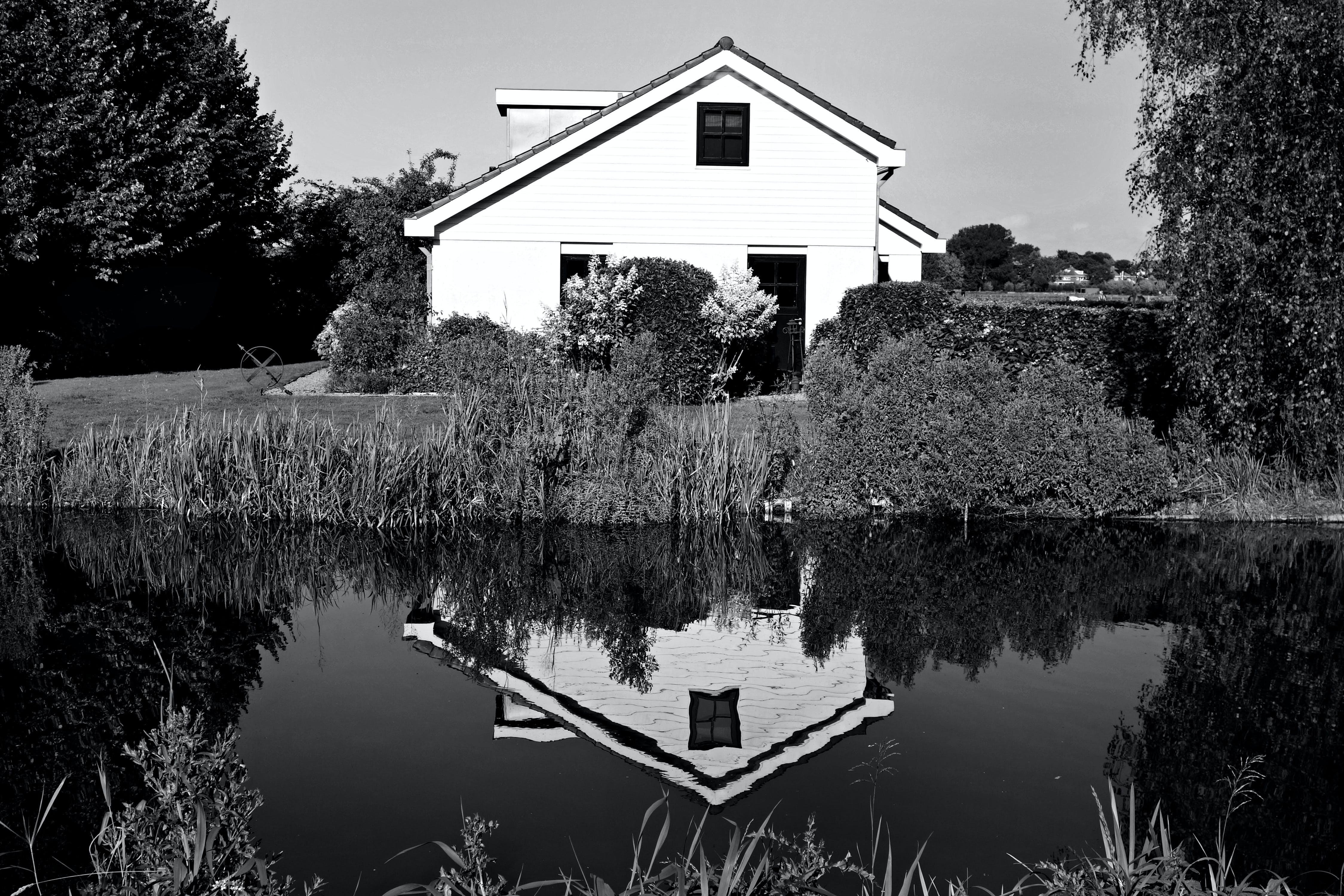 Дом черно белый - 50 фото