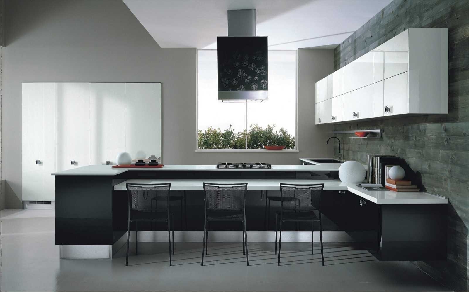 Кухня черный верх. Современные кухни. Черно белая кухня. Черно-белые кухни в интерьере. Кухня в современном стиле.