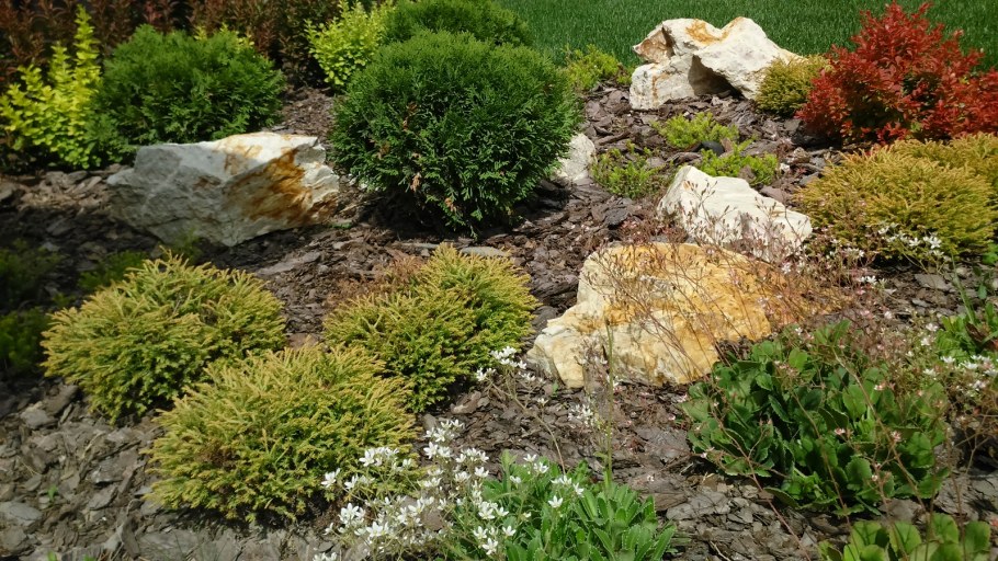 Европейский рокарий