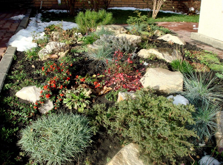 Китайский можжевельник Альпийская горка