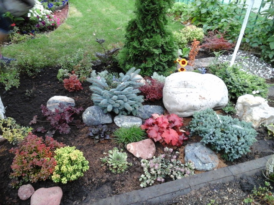 Дельфиниумы ландшафт Альпийская горка