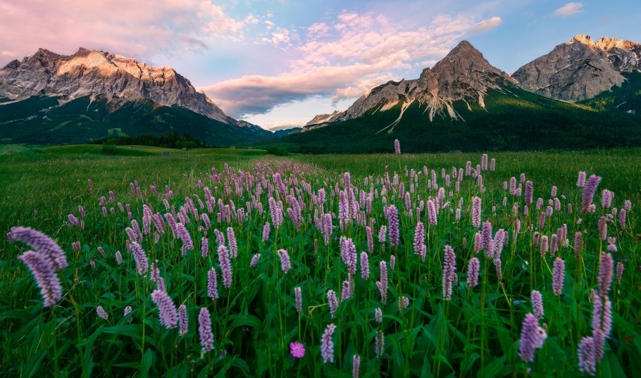Субальпийские Луга Швейцария