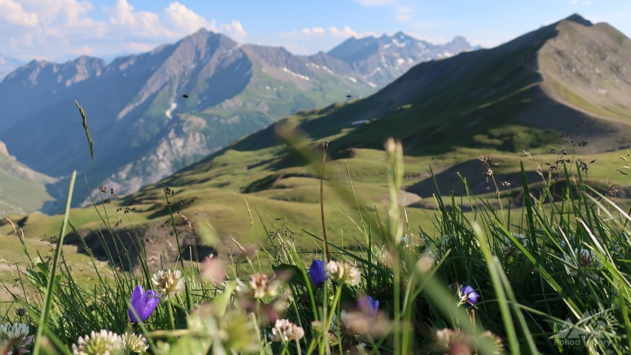 Альпийские Луга Альпы