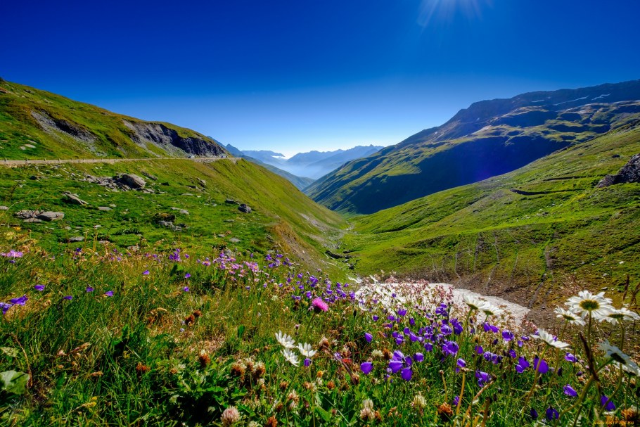 Альпийские Луга Кавказа