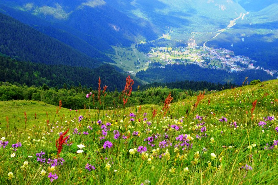 Альпийский Ботанический сад в коль дю Лотаре, Франция