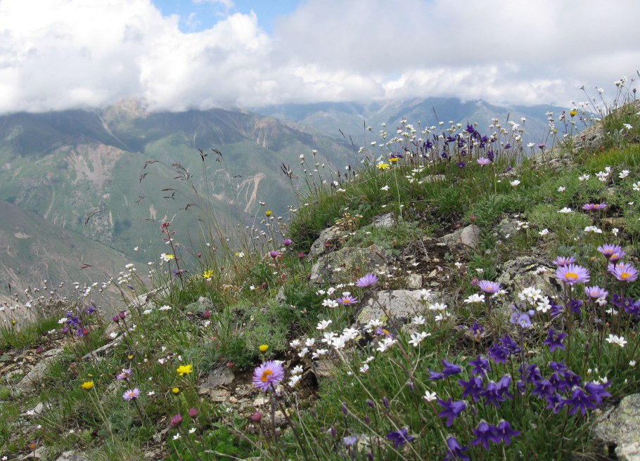 Алтайский край Уймонская Долина