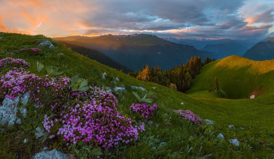 Альпийские Луга Эльбруса