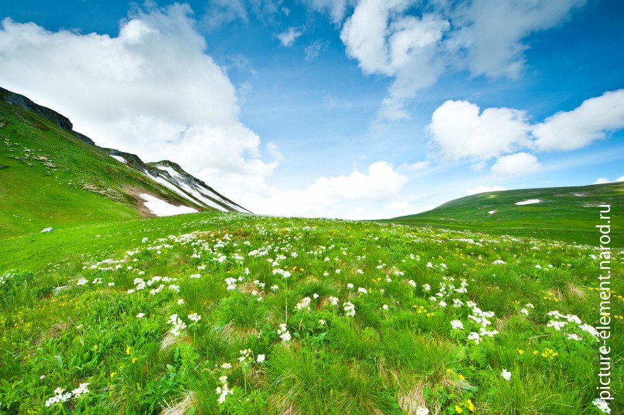 Обои на рабочий стол Альпийские Луга