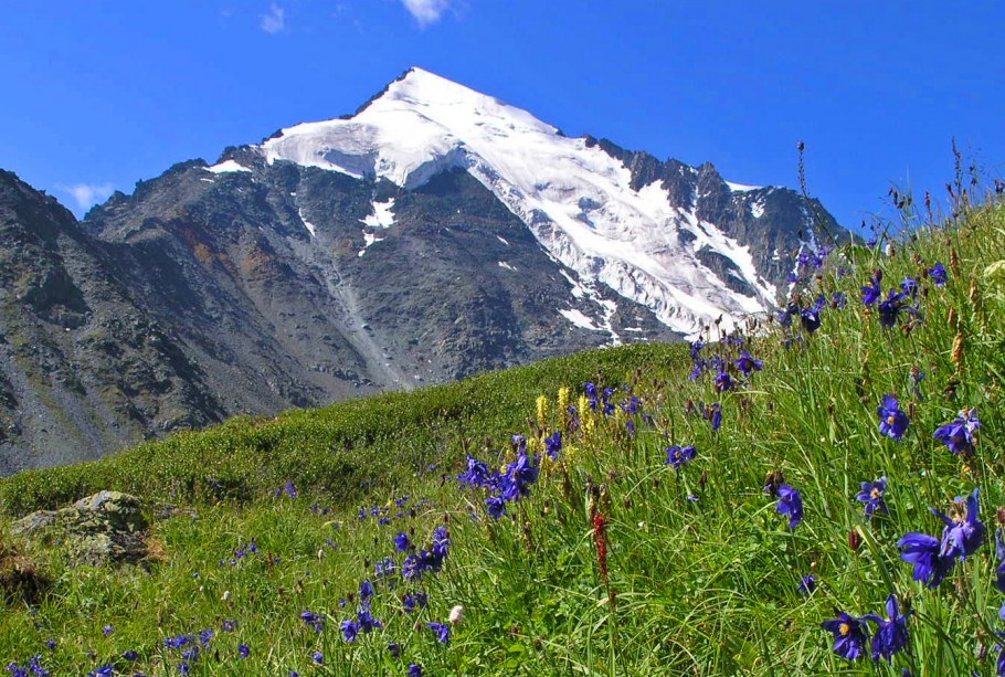 Долина Куйгук Альпийские Луга