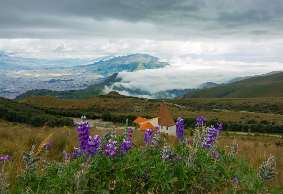 Кисловодск субальпийские Луга