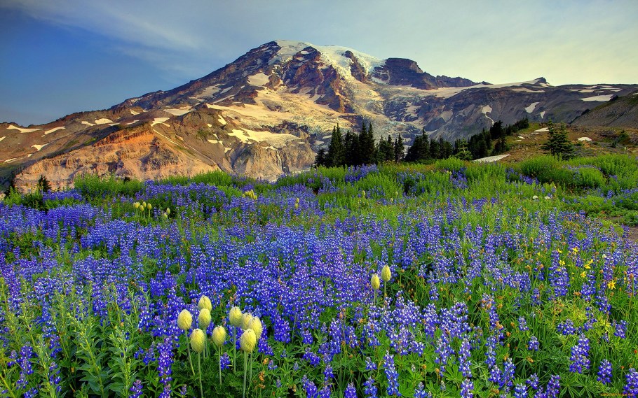 Альпийские Луга в Кузнецком Алатау
