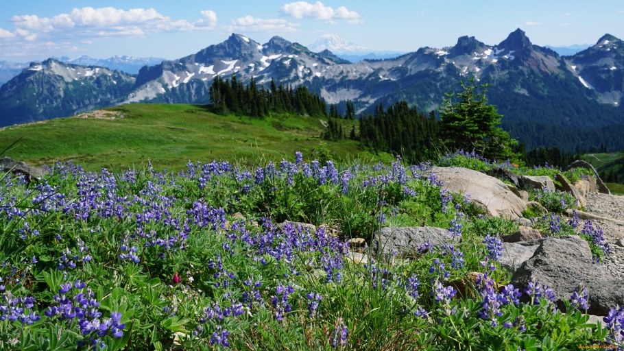 Альпийские Луга Каракольские озера