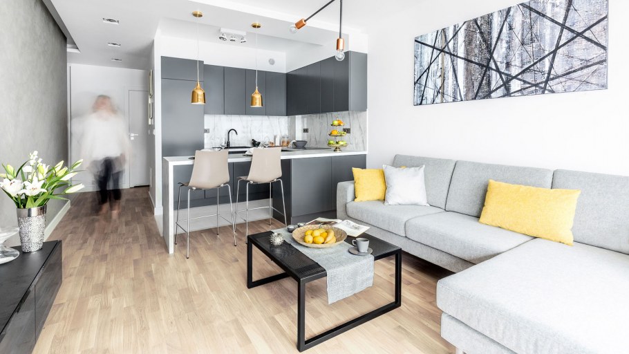 Кухня-гостиная 20 кв.м евродвушка