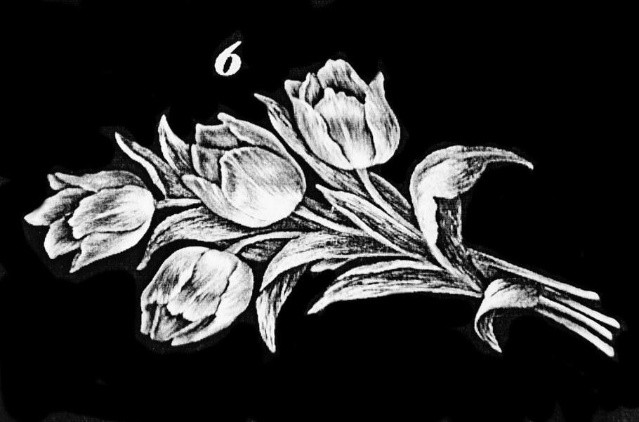 Тюльпаны для гравировки на граните