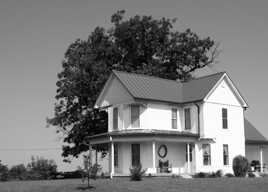 Чёрно белые дома