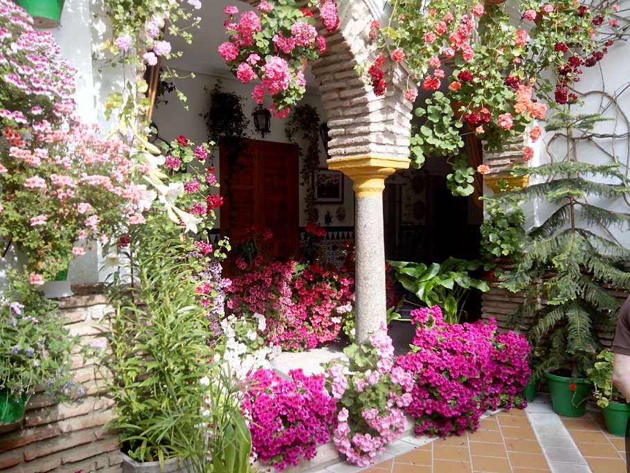 Фестиваль патио в Испании Кордова