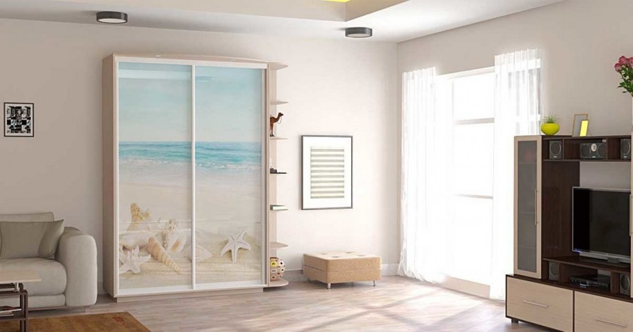 Шкаф-купе Медиум дуо