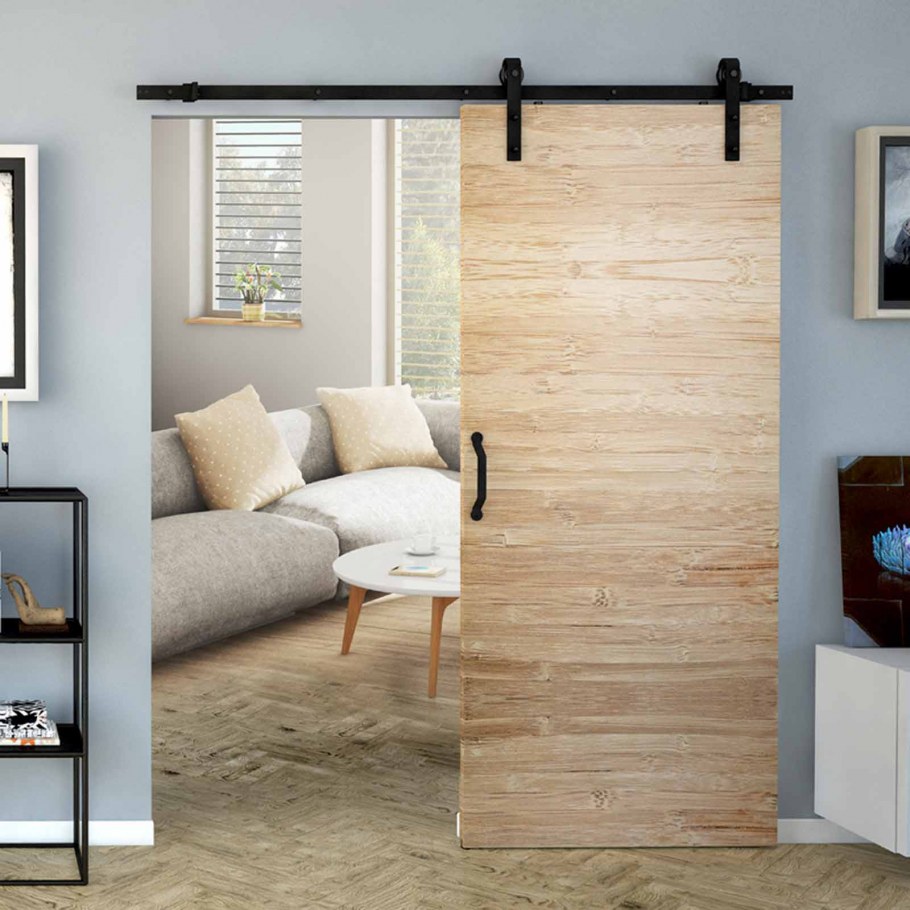 Амбарная дверь Barn Door 100