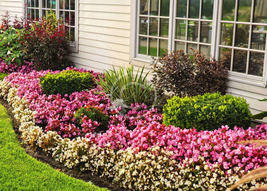 Красивые квадратные клумбы на даче