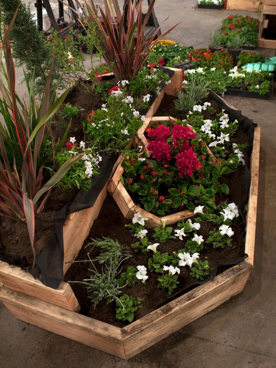 Красивые клумбы