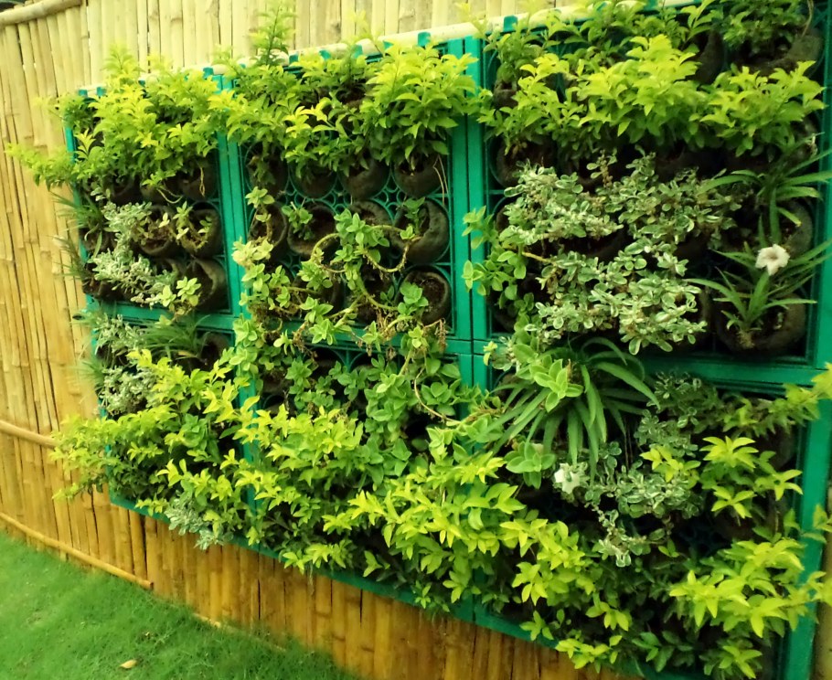 Вертикальное Озеленение в саду своими руками