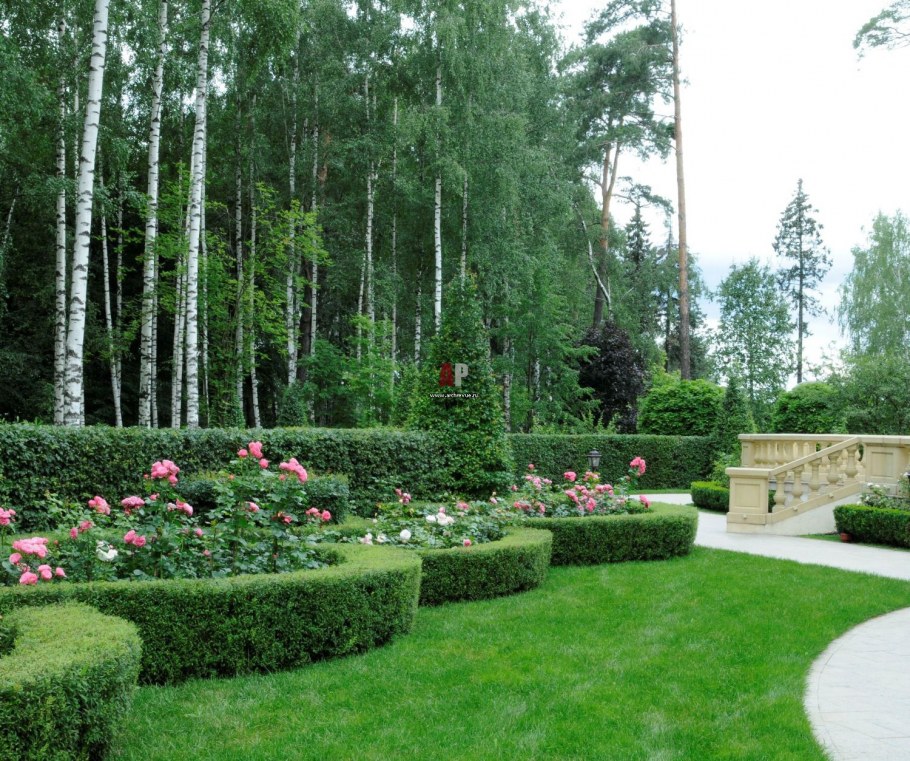 Озеленение лесного участка