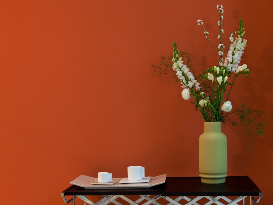 Суперколор Ойкос краска