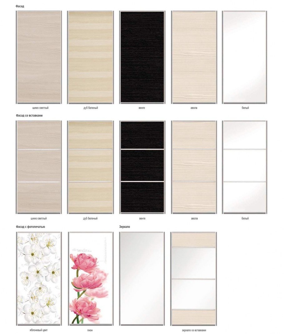 2х дверный шкаф-купе "Элити 8"