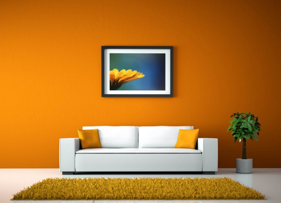 Оранжевая краска для стен