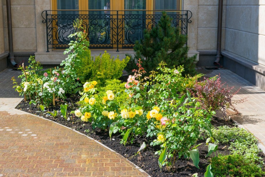 Асимметричный цветник