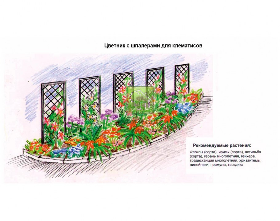 Эскизы клумб и цветников