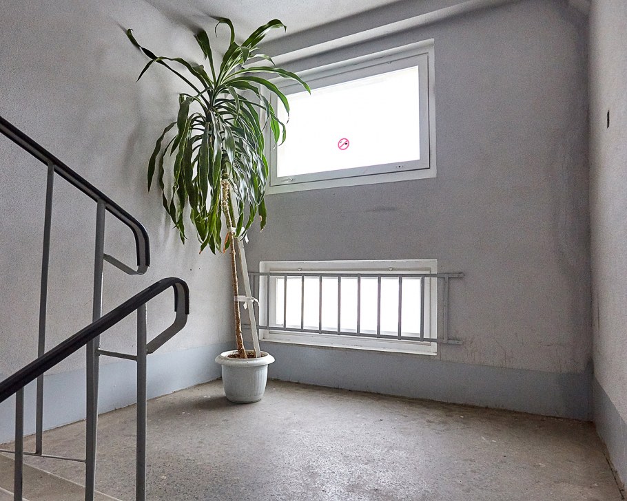 Цвет стен в подъезде жилого дома