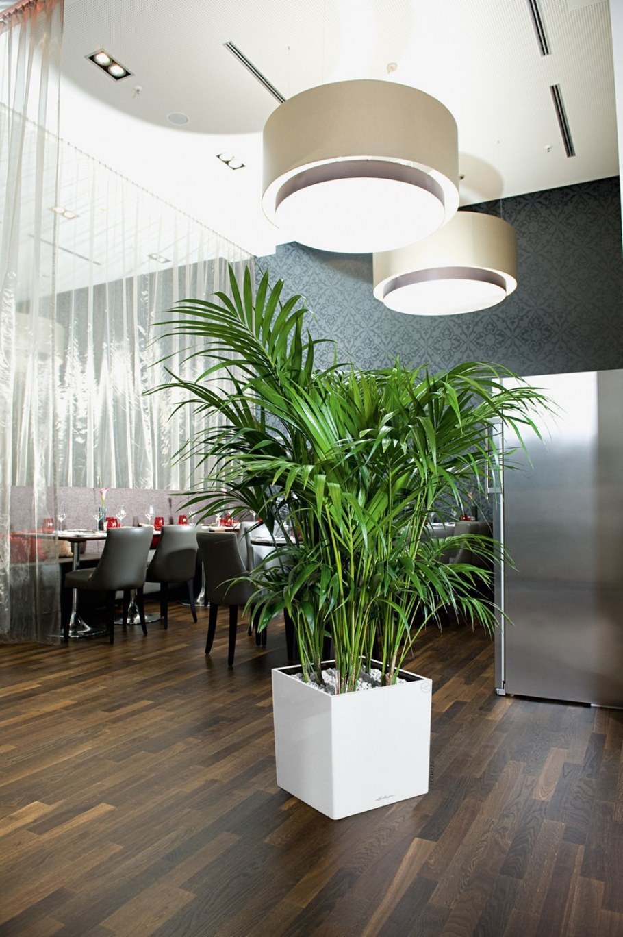 Много растений в интерьере