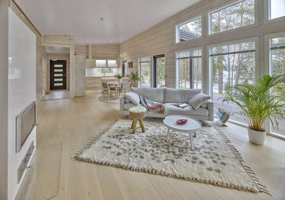 Хонка Сириус