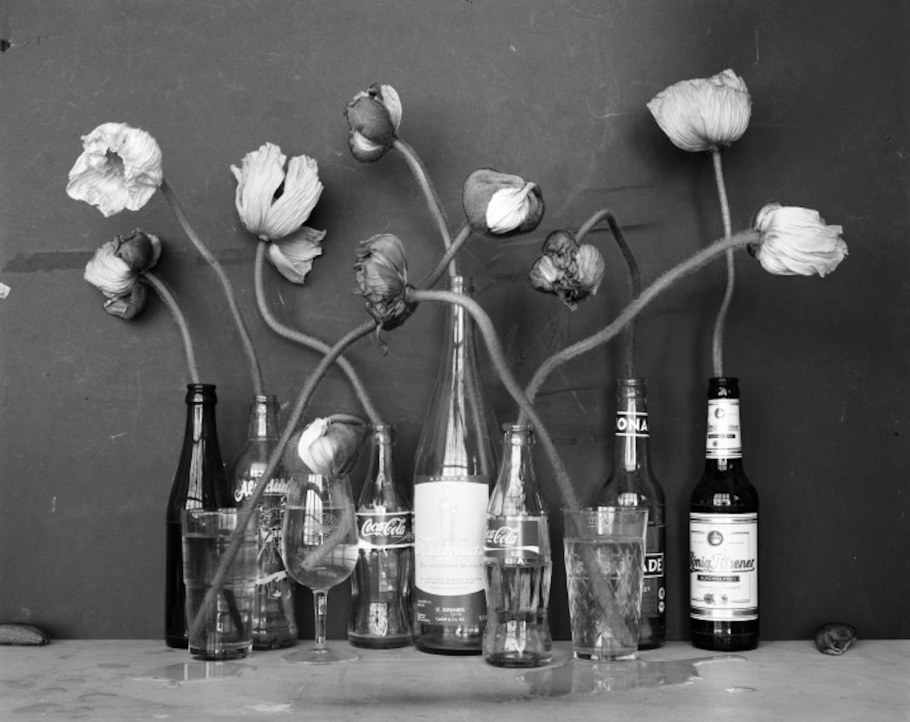 Профессиональные фотографии черно белые натюрморт