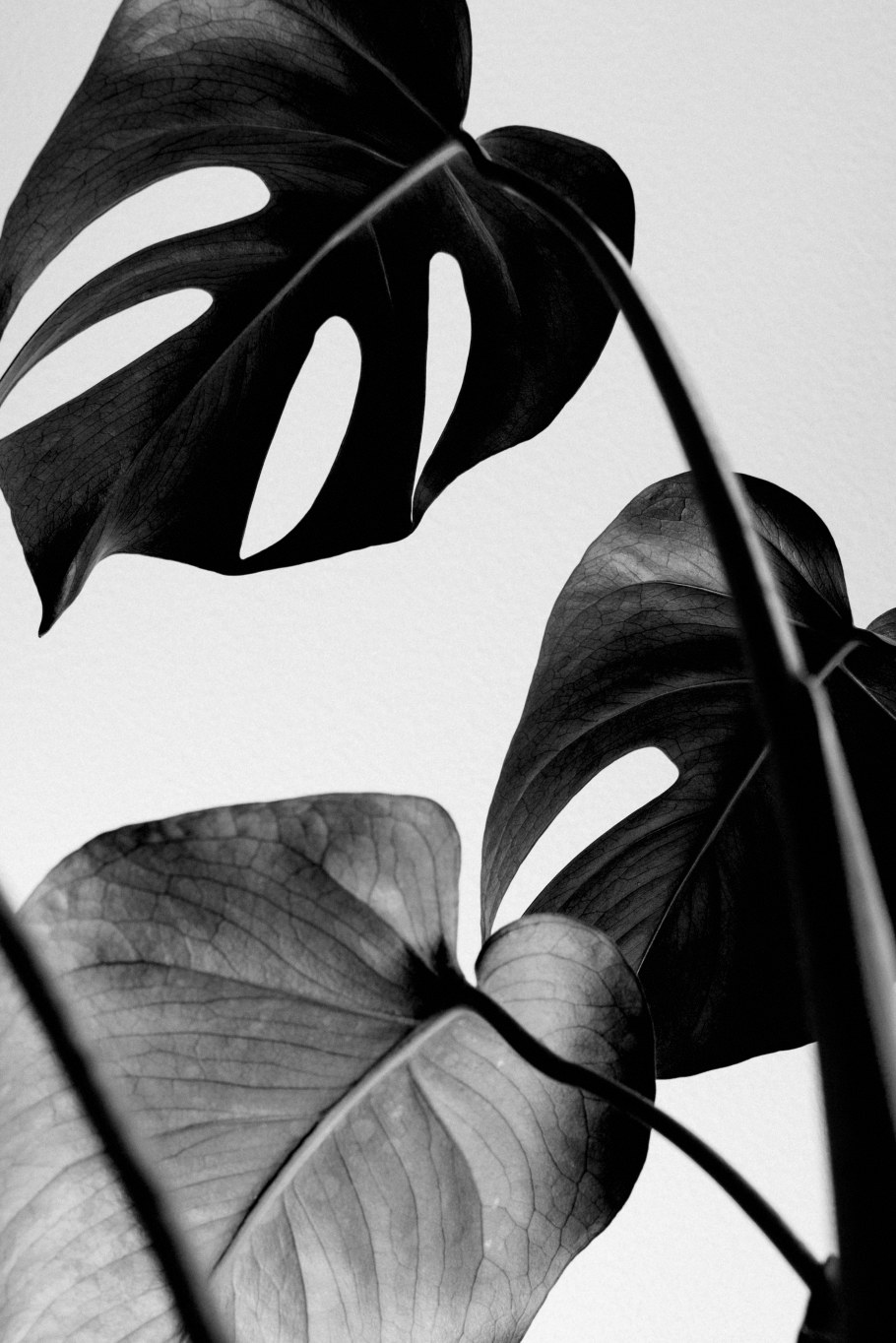 Постеры для интерьера высокое разрешение