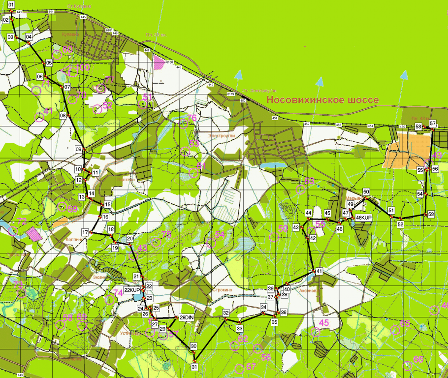 Коттеджный поселок Полтево