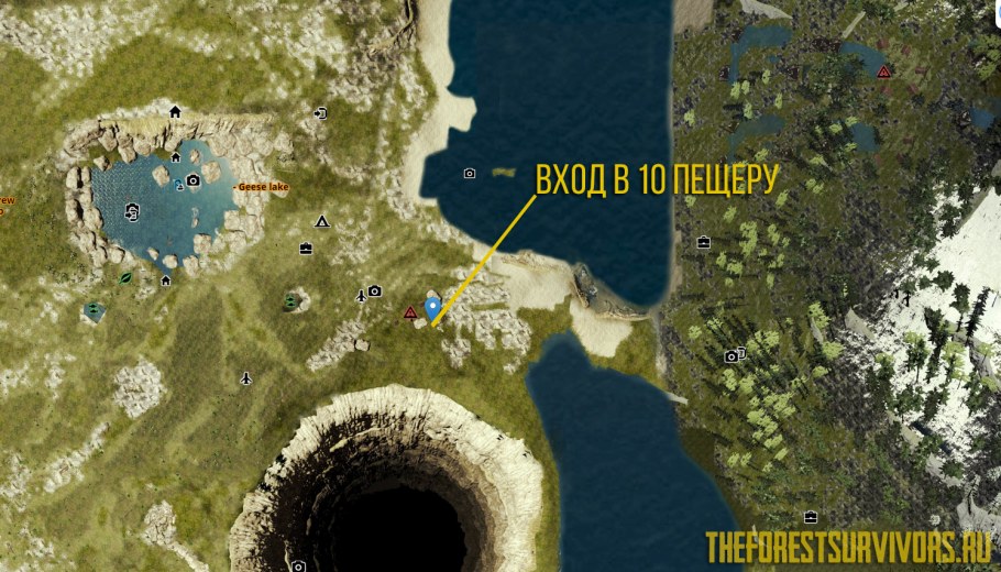 Карта зе Форест с пещерами