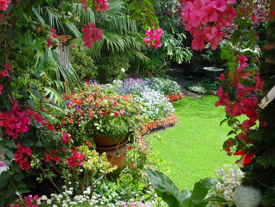 Цветущий Райский сад