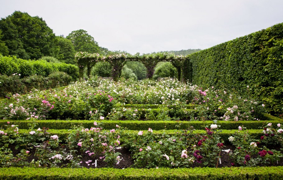 Сад в идеальном состоянии