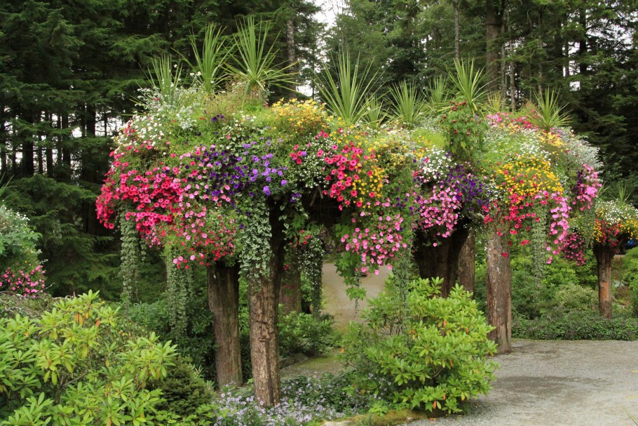 Висячие сады на даче