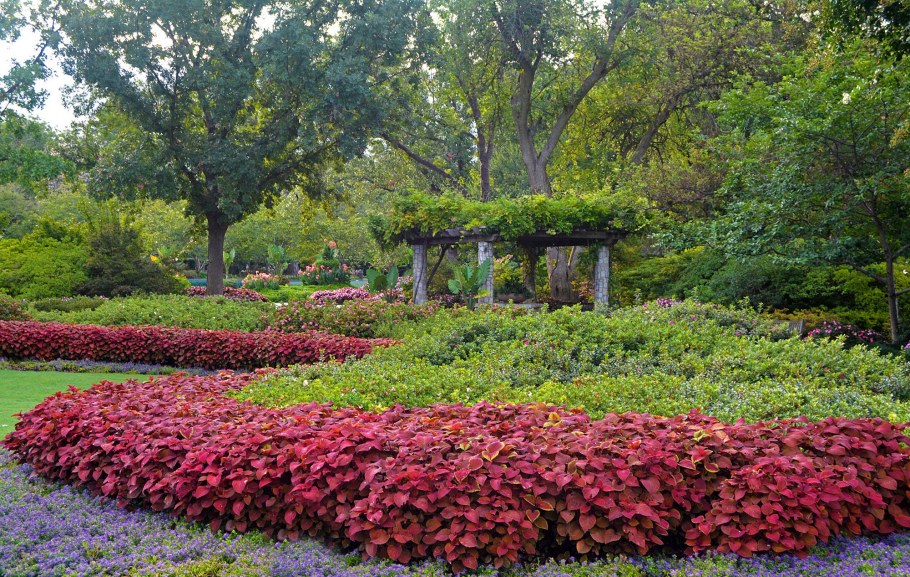 Дендрарий Ботанический сад