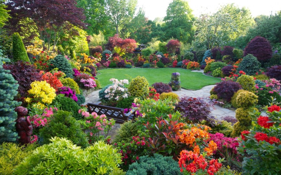 Миксбордер Аптекарский огород