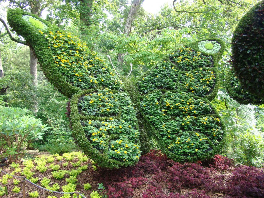 Талисманы ботанических садов