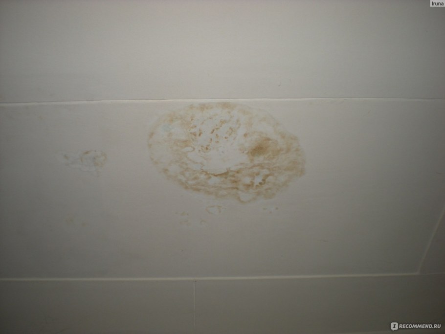 Пятна на потолке