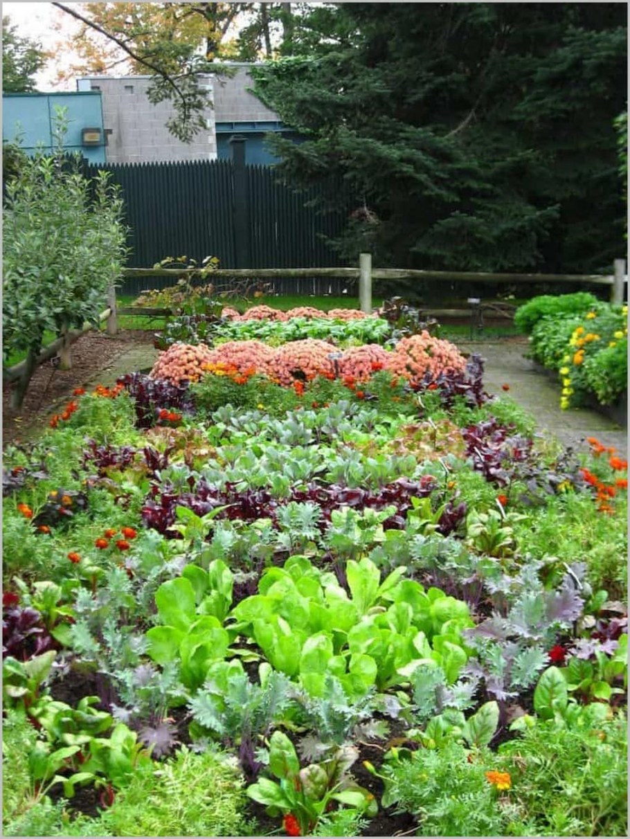 Огородный миксбордер