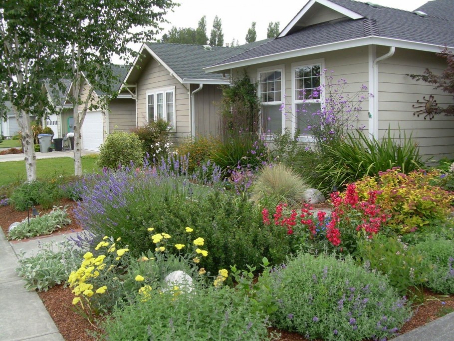 Цветы перед домом в деревне