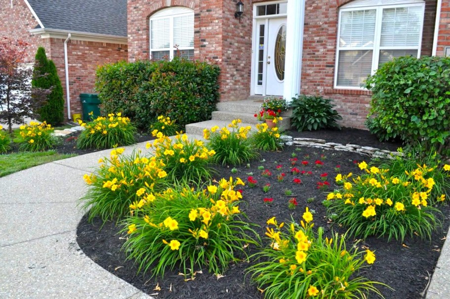 Рабатка лилейник