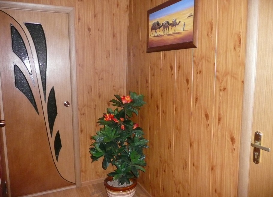 Пластик для прихожей