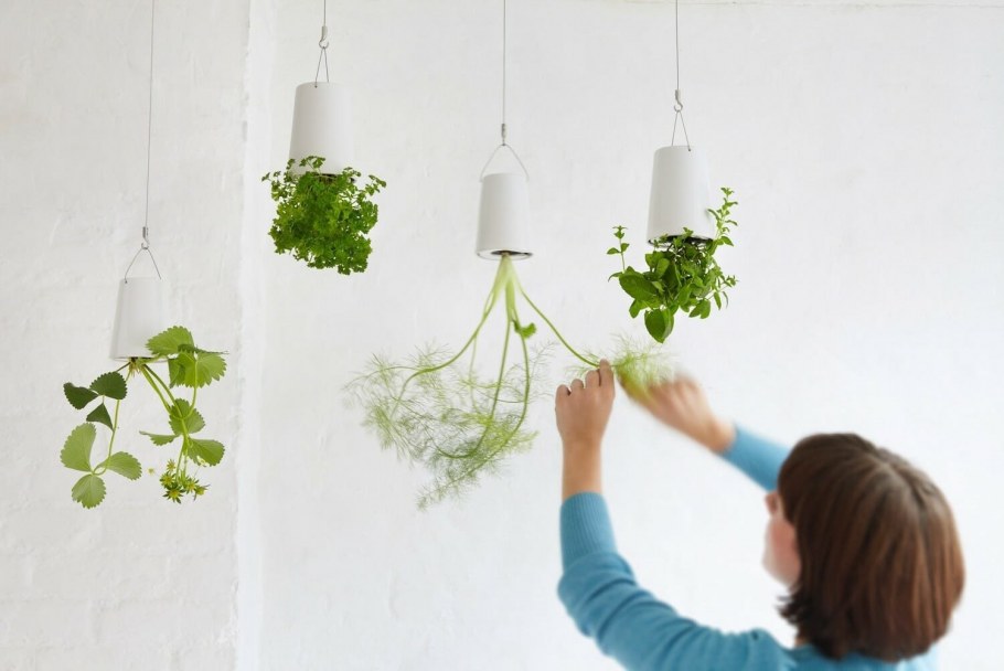 Цветы подвешенные к потолку